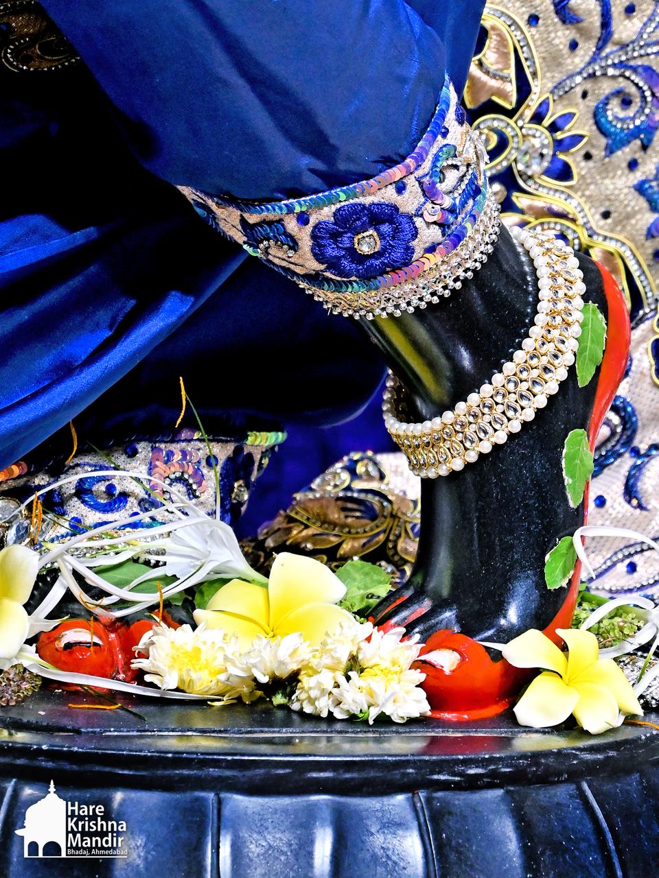 2026-05-06 Darshan
